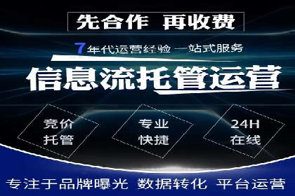 竞价推广中的着陆页策略：成功案例解读