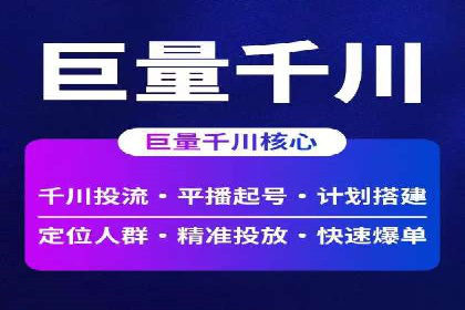 百度竞价广告案例分析：成功之道揭秘
